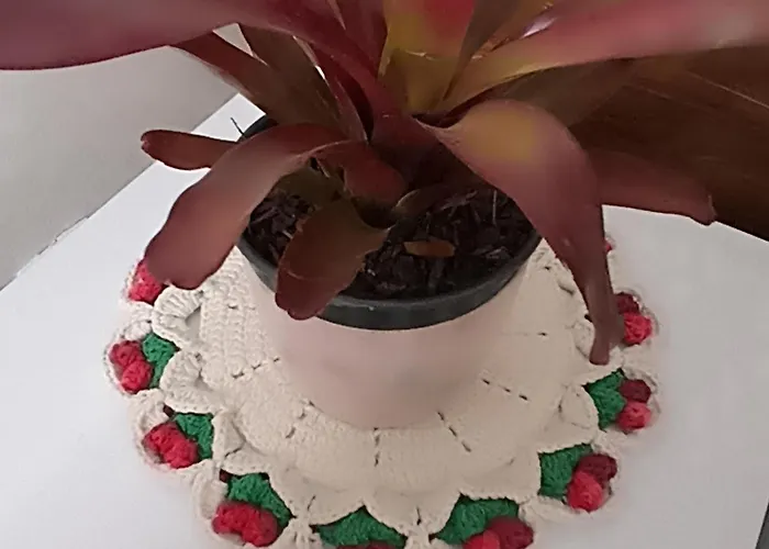 Pousada Filhos Da Canastra
