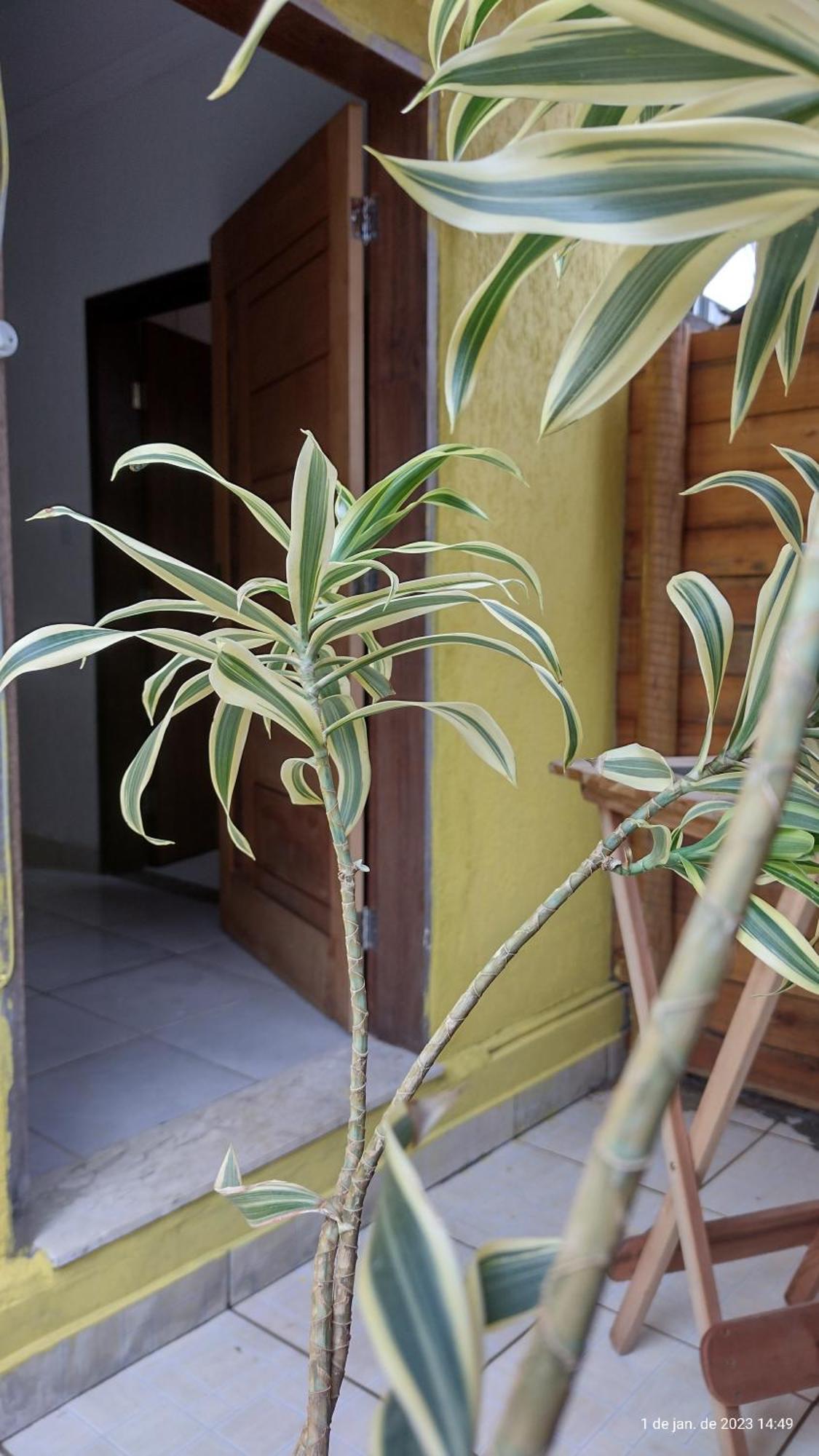 Inn Filhos Da Canastra